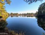 350 Pine Vista Drive - Photo 10