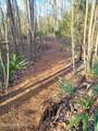 40 Alligator Creek Road - Photo 3