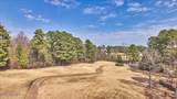 10 Heatherspring Way - Photo 62