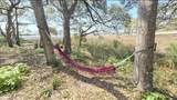 2659 Seashore Road - Photo 39