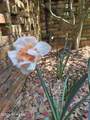 370 Morganton Road - Photo 92