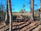 40 Alligator Creek Road - Photo 5