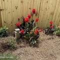105 17th Street - Photo 44