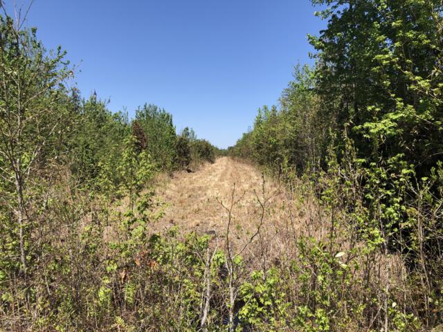 0 Trent Road, Merritt, NC 28556 (MLS #100113169) :: Century 21 Sweyer & Associates