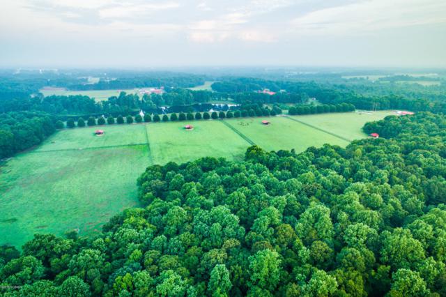 525 Longhorn Creek Lane, Turkey, NC 28393 (MLS #100140994) :: Century 21 Sweyer & Associates