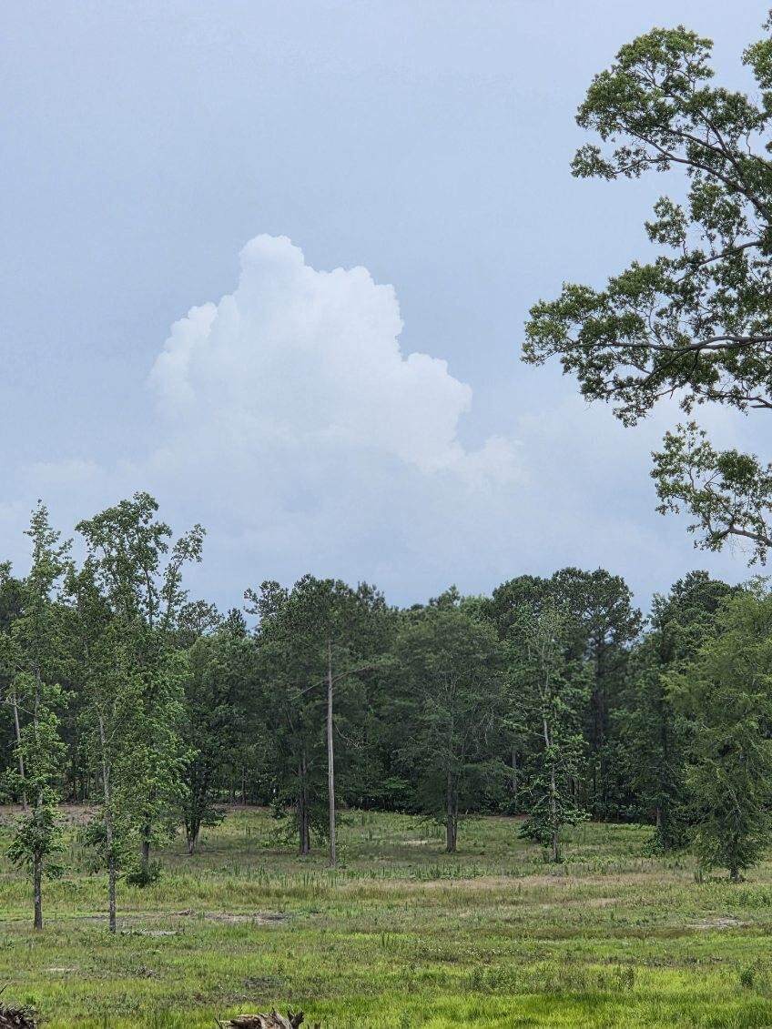 365 Shagbark Way - Photo 1