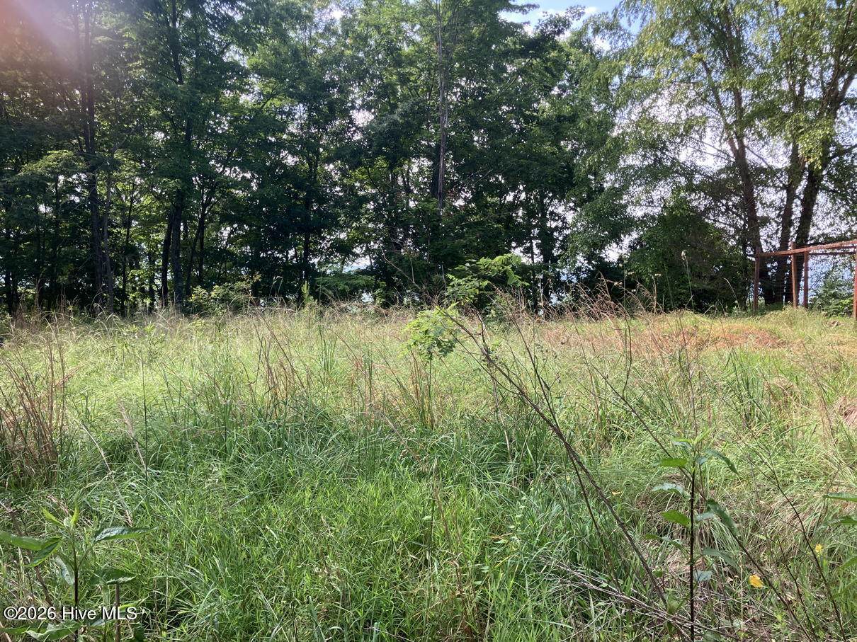 Lot 51 Buck Ridge Drive - Photo 1
