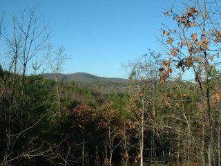00 Choctaw Ridge Trail - Photo 1