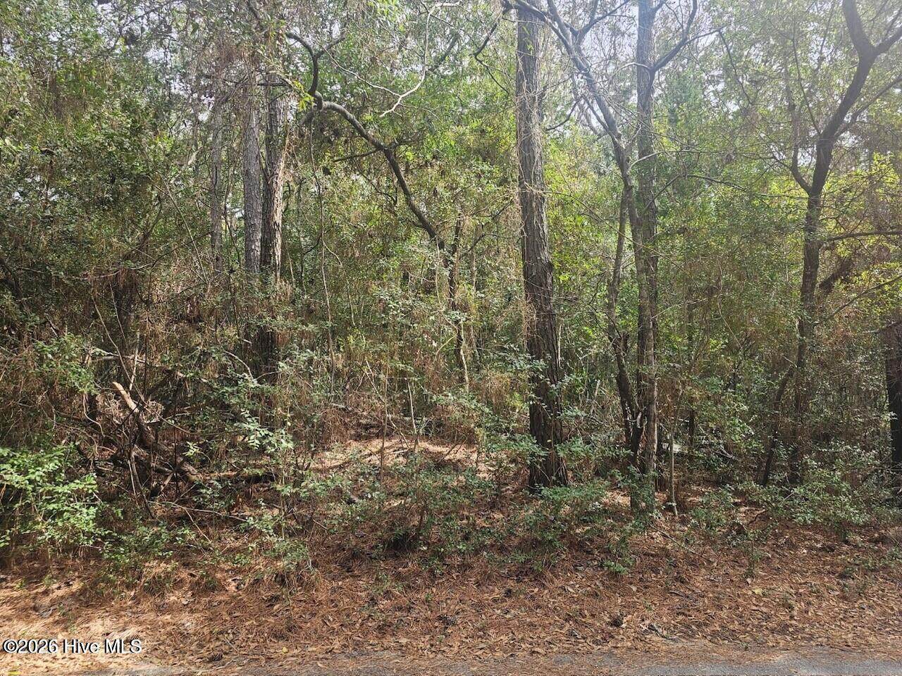 45 Fort Holmes Trail - Photo 1