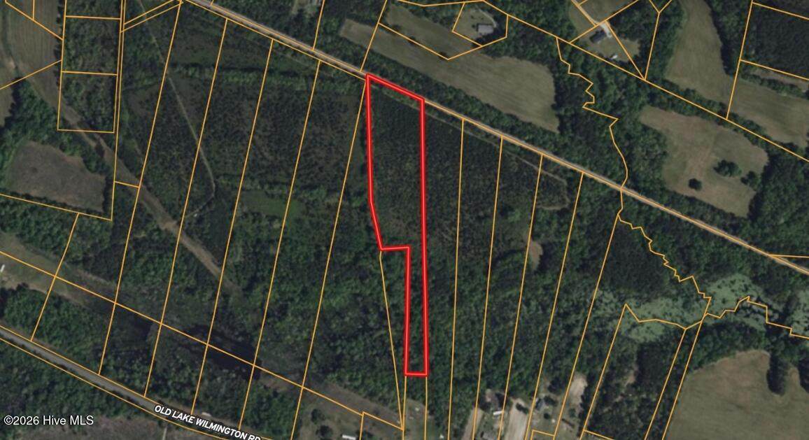 0 Near 11835 Old Lake - Photo 1