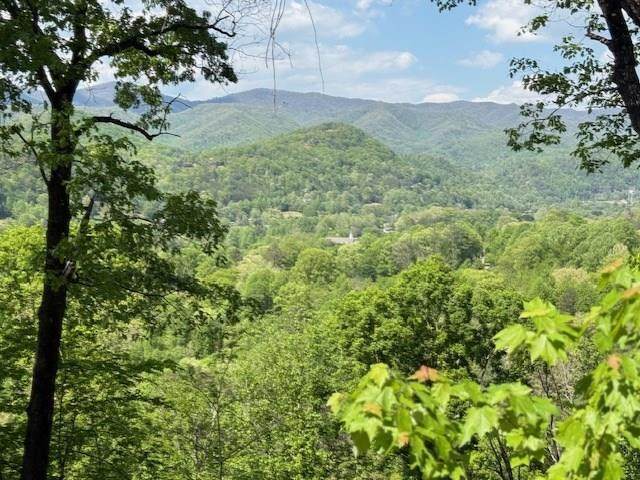 Lot 43 Silo View - Photo 1