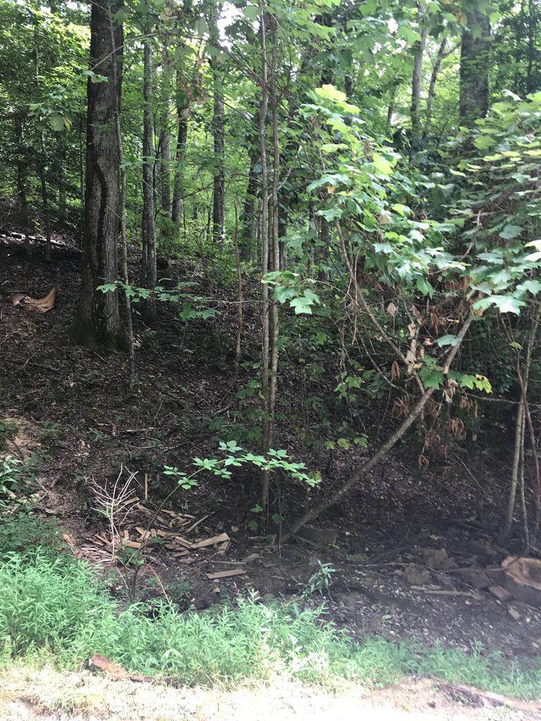 Lot 8 Vista Loop Road Road - Photo 1