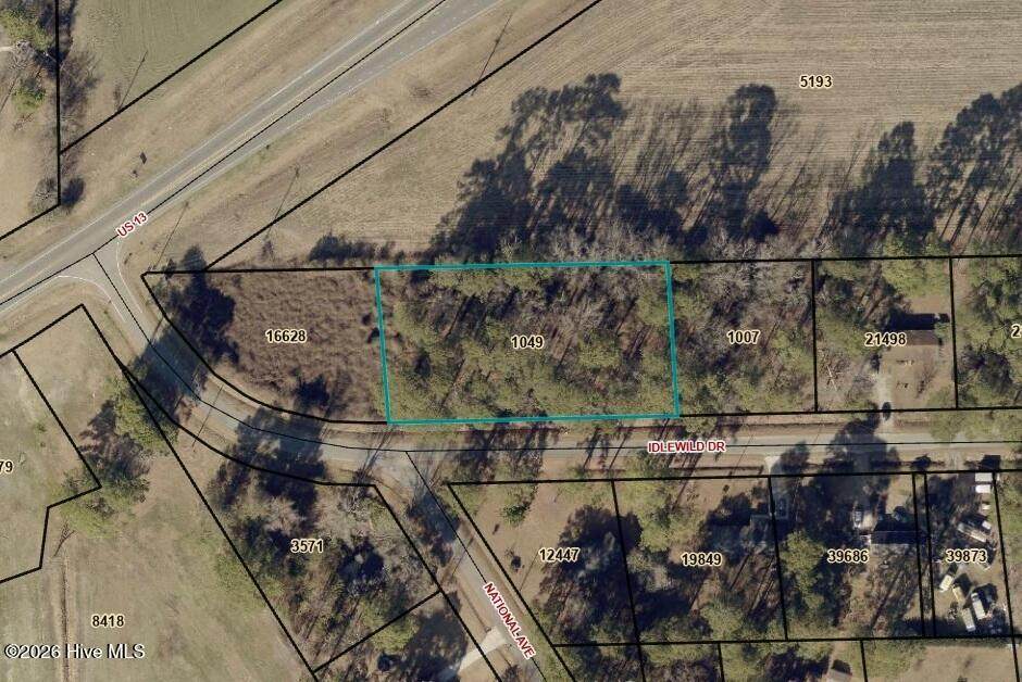 0 Idlewild Drive - Photo 1
