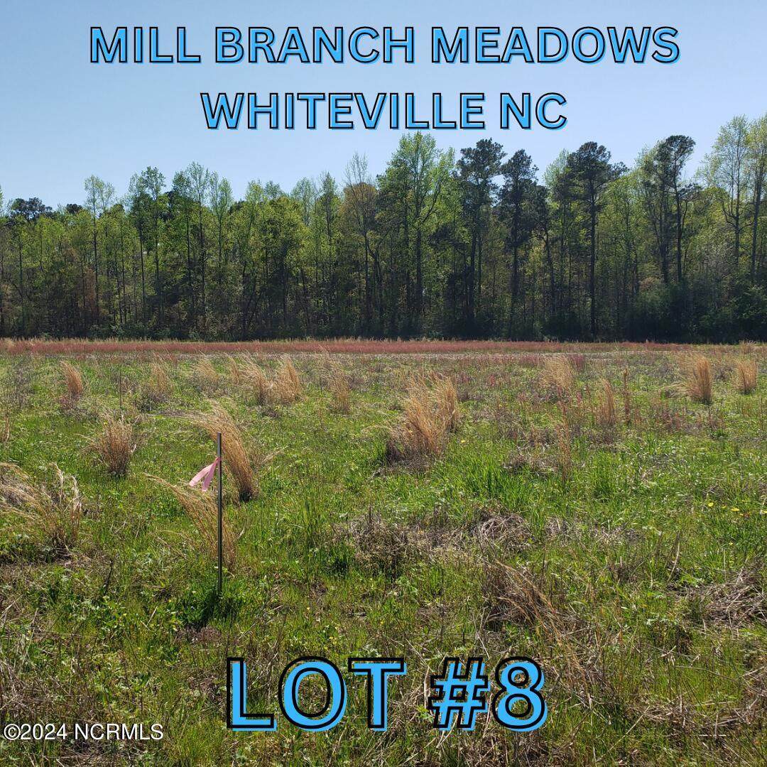 97 Mill Branch Drive - Photo 1