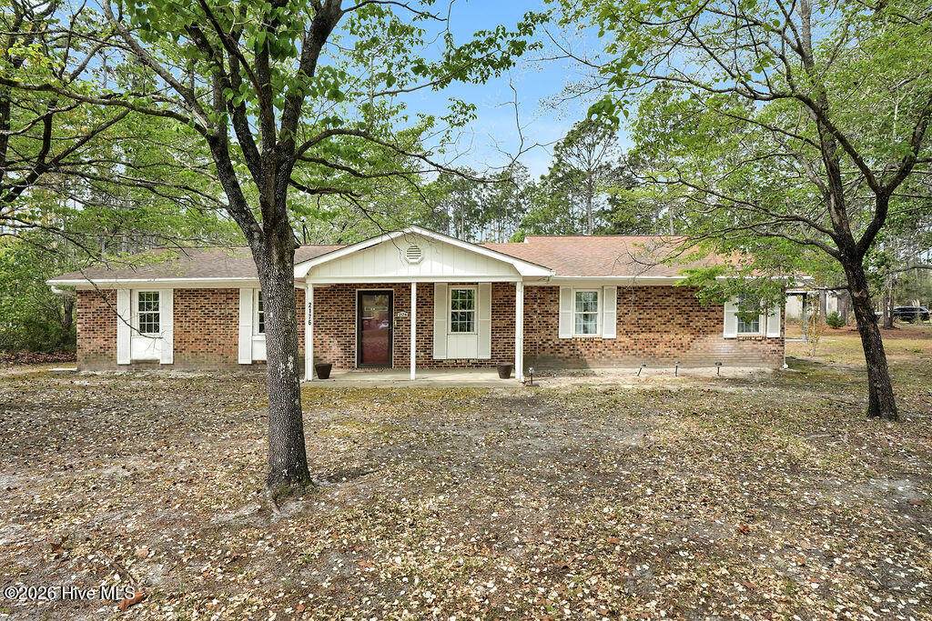 2176 Lake Keziah Drive - Photo 1