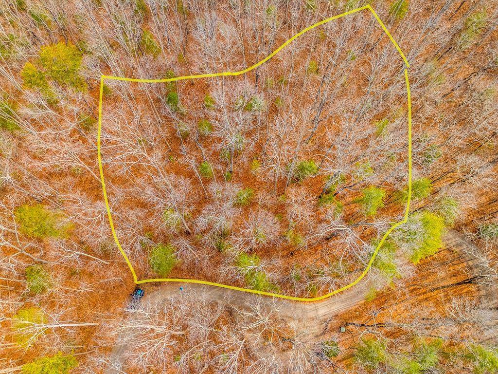 13 ac Guy Eller Road - Photo 1