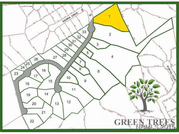 211 Green Trees Drive - Photo 1
