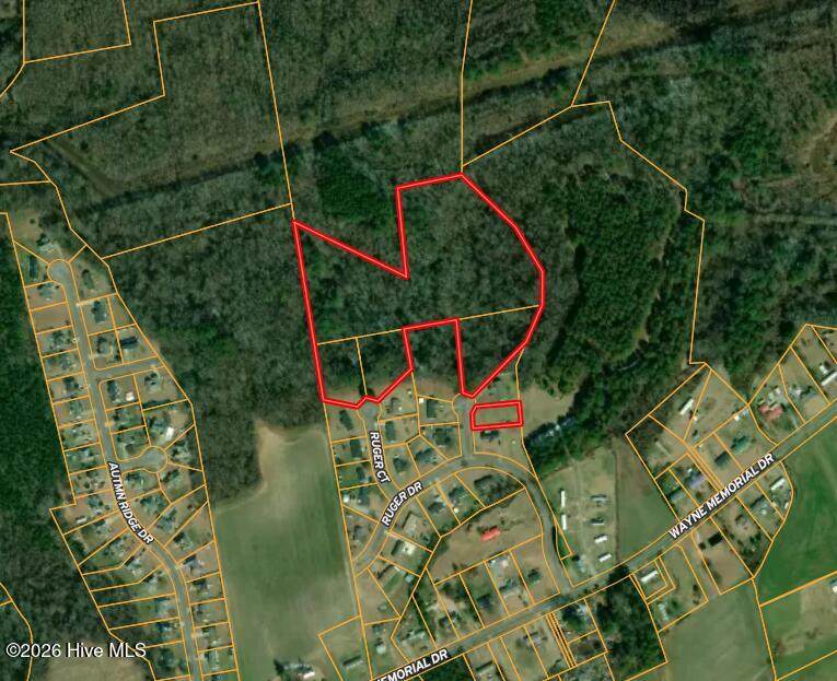 102 Colt Court - Photo 1