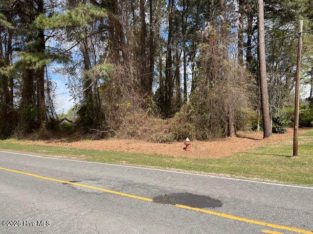 00 Penny Branch Road - Photo 1