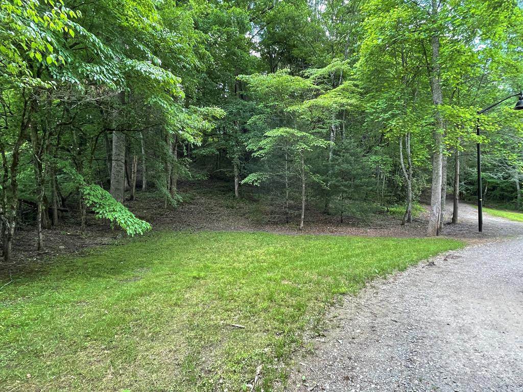 00 Collett Woods Trail - Photo 1