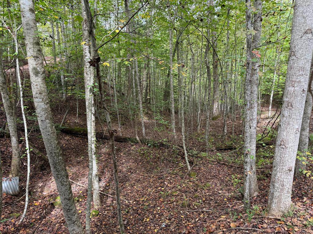 0 Reserve Estates - Photo 1