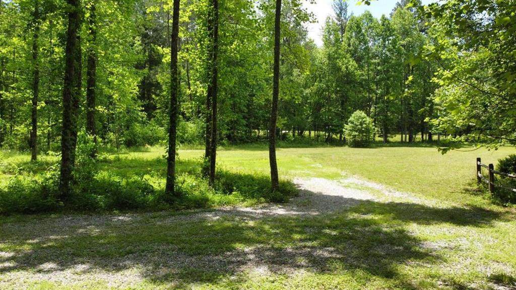 Tract 2 Timber Ridge Road - Photo 1