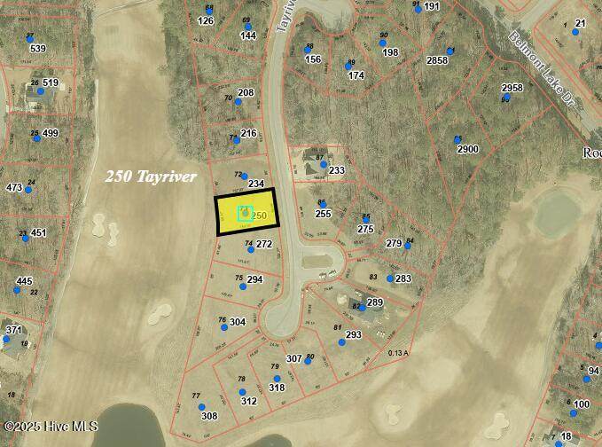 250 Tayriver - Photo 1