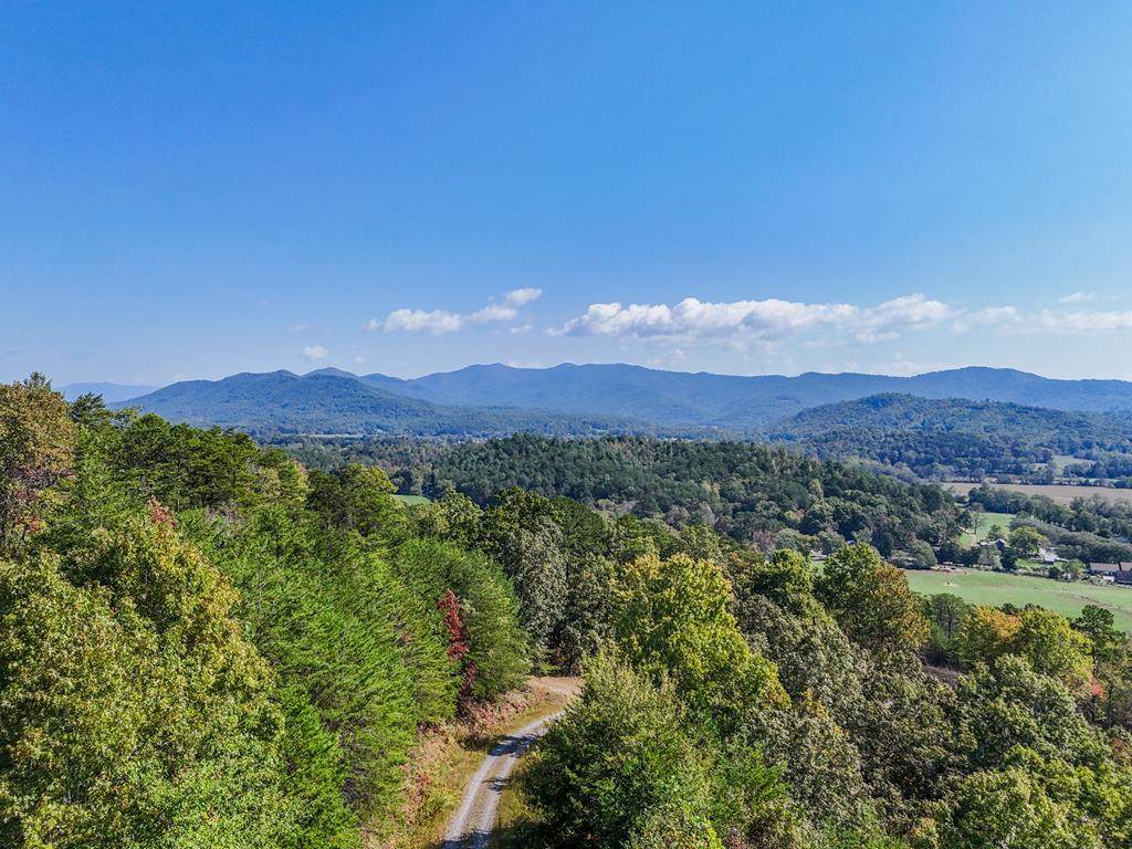 000 Mistletoe Ridge - Photo 1