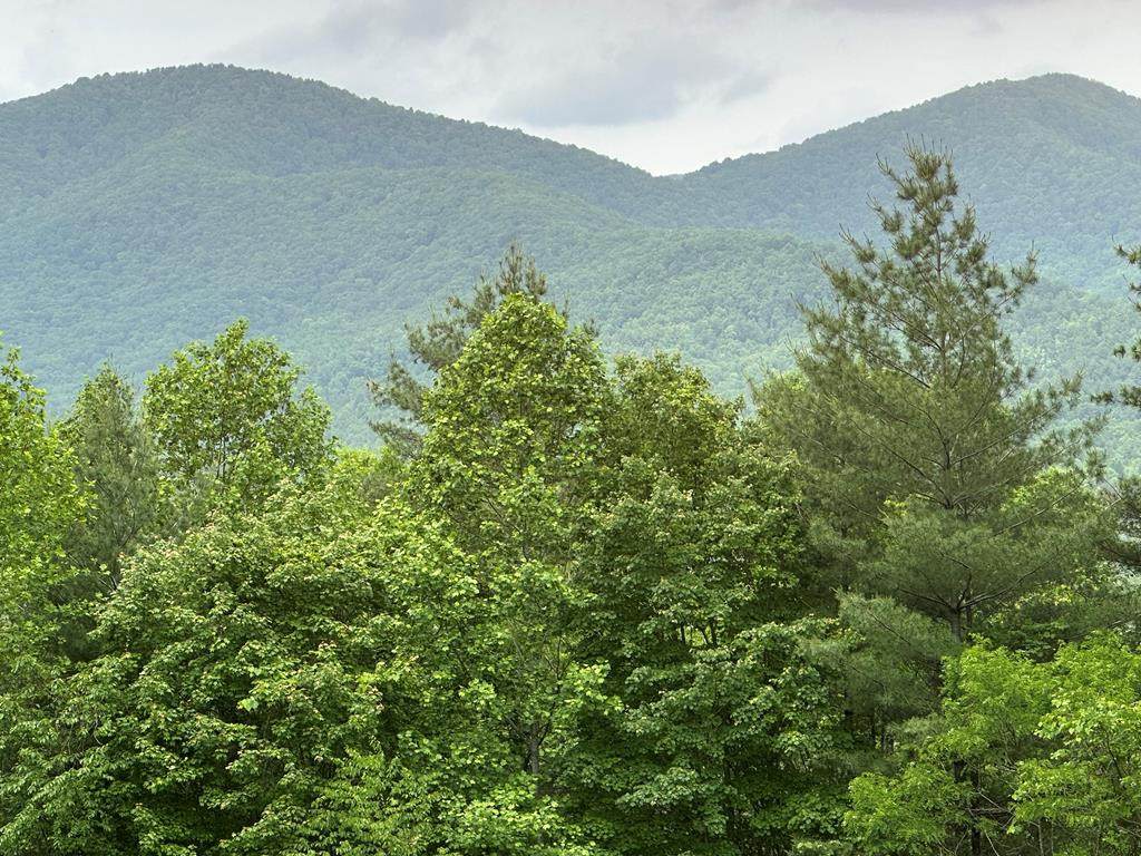 00 Top Horseshoe Ridge - Photo 1