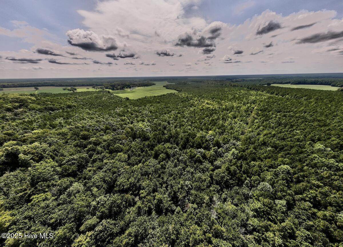 1596 Middle Swamp Road - Photo 1