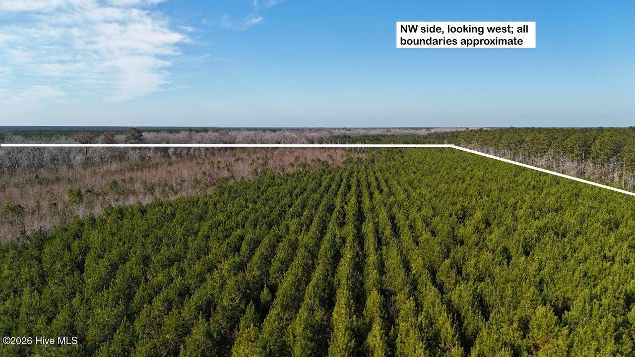 0 White Oak River Road - Photo 1