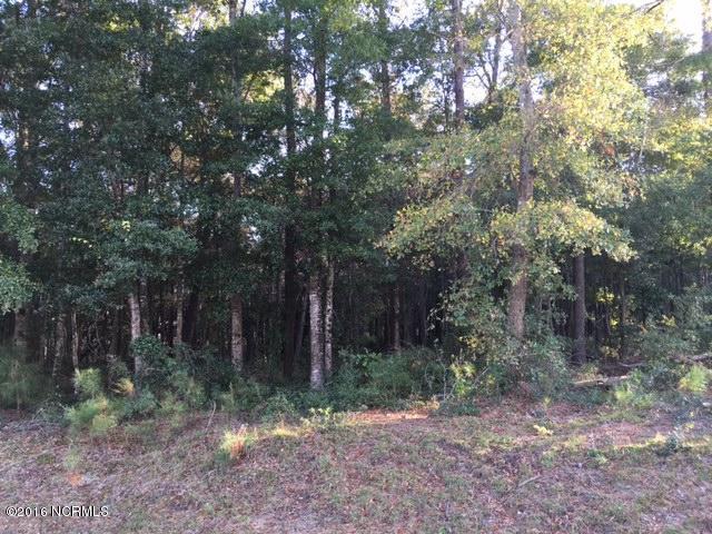 1112 Tidalwalk Drive, Wilmington, NC 28409 (MLS #100001831) :: Century 21 Sweyer & Associates