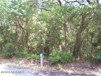 18 Three Flipper Trail - Photo 1