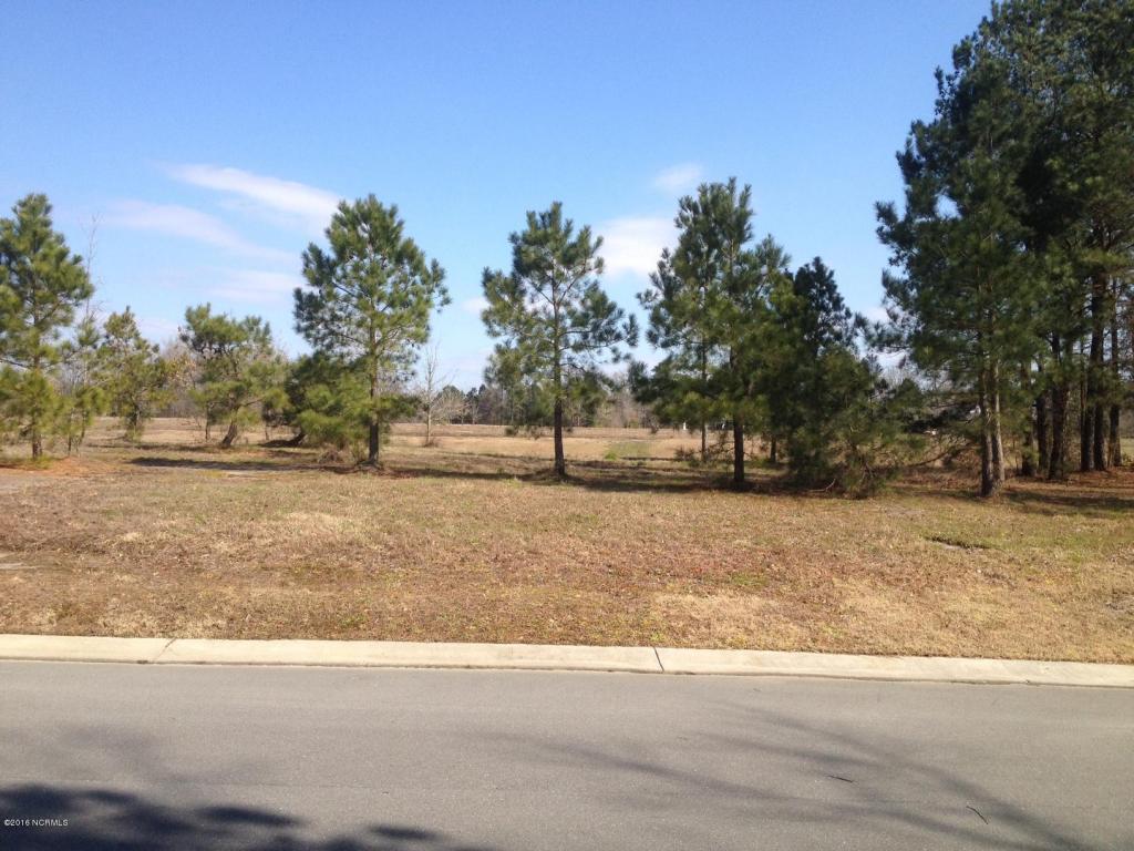144 Legacy Point - Photo 1