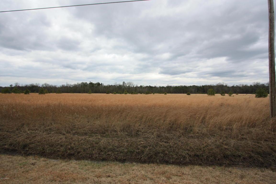 Lot 94 Old Tower Road - Photo 1