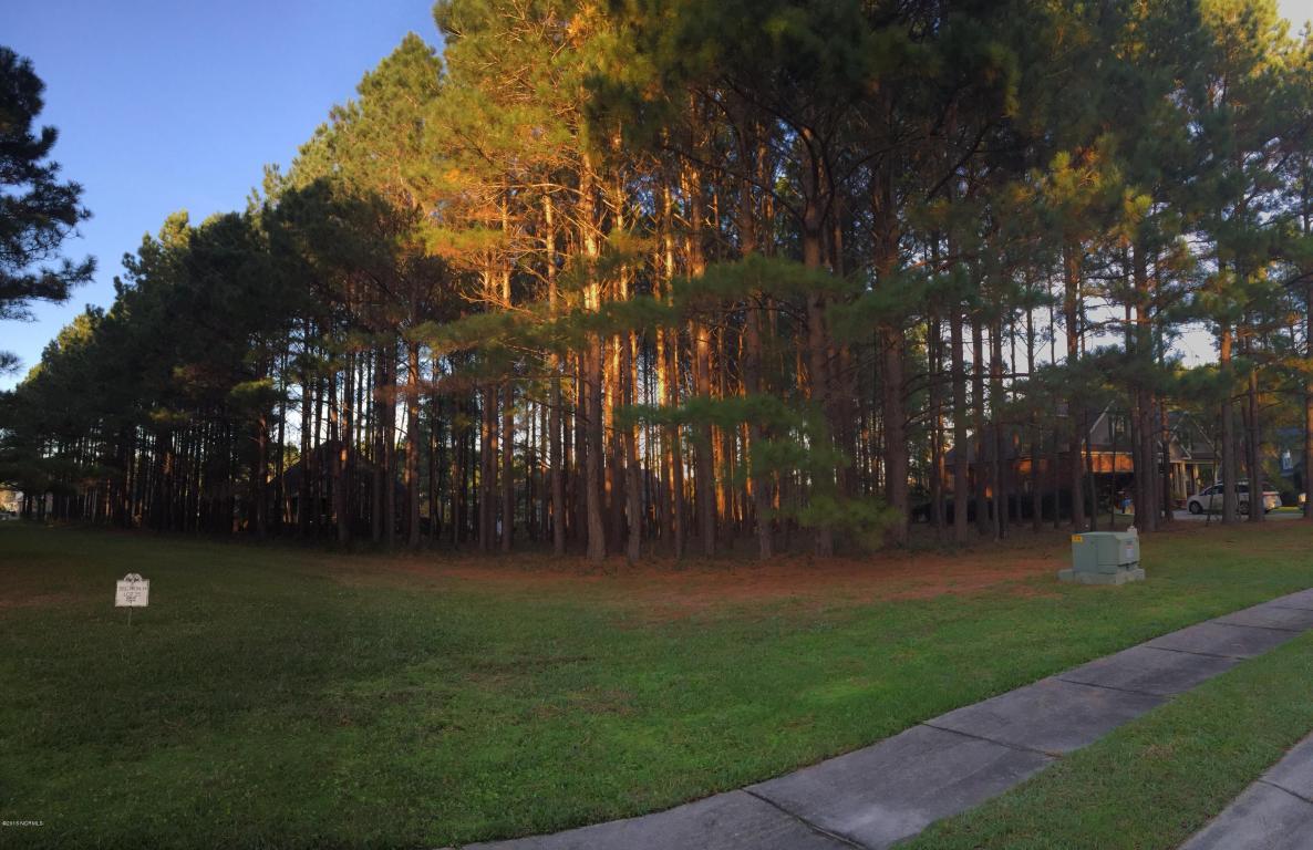 376 Autumn Pheasant Loop - Photo 1