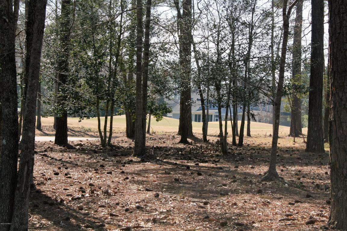 465 Woody Trail Court - Photo 1