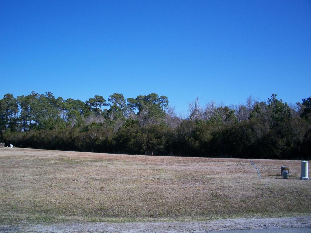 101 Snapdragon Court - Photo 1