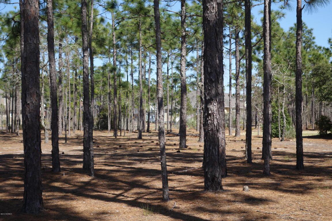 3590 Wood Crest Lane, Southport, NC 28461 (MLS #100007048) :: Century 21 Sweyer & Associates