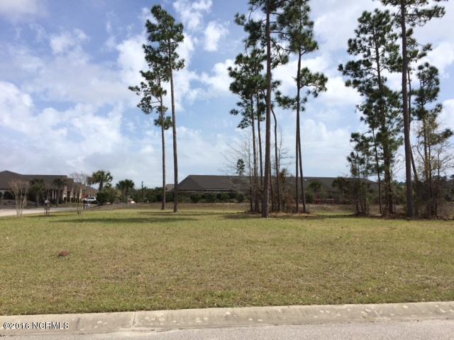 1255 Mandevilla Drive - Photo 1