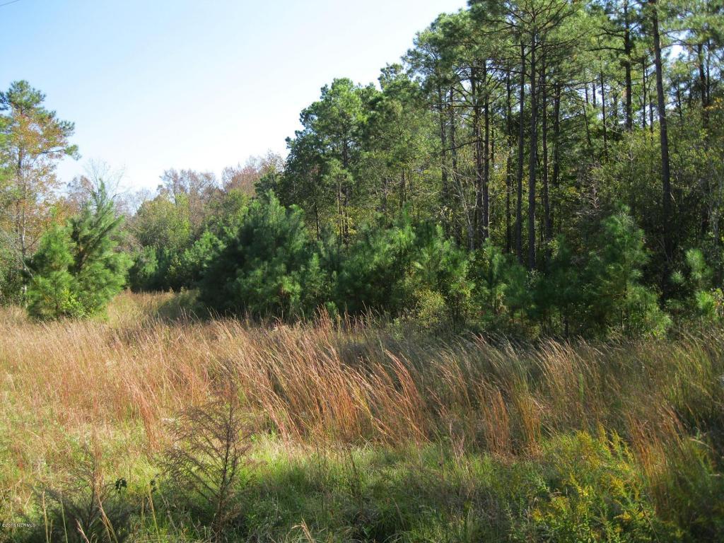 6a Island Creek Road, Rocky Point, NC 28457 (MLS #100008002) :: Century 21 Sweyer & Associates