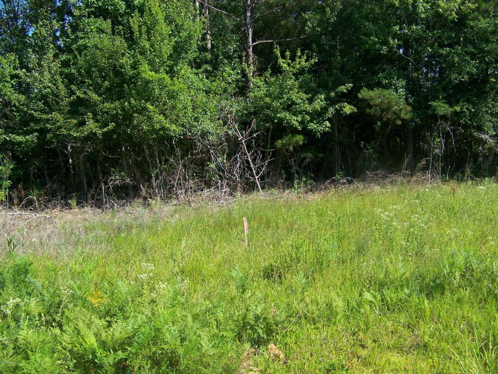 61 Boiling Spring Road - Photo 1