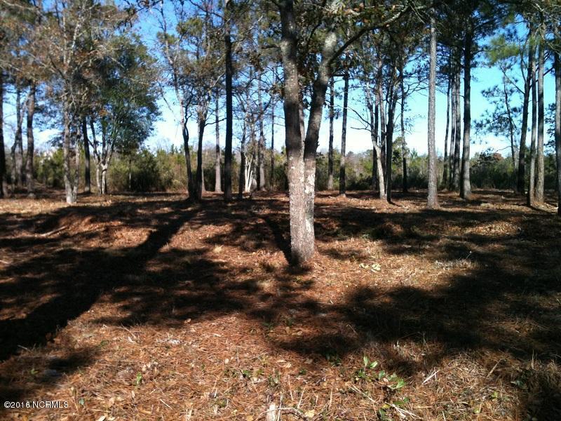 3040 Pine Hill Drive - Photo 1