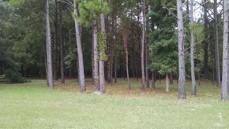 1280 Greenfield Road NW, Supply, NC 28462 (MLS #100010904) :: Century 21 Sweyer & Associates
