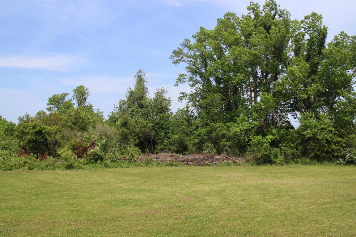 165 Lena Perry Lane - Photo 1