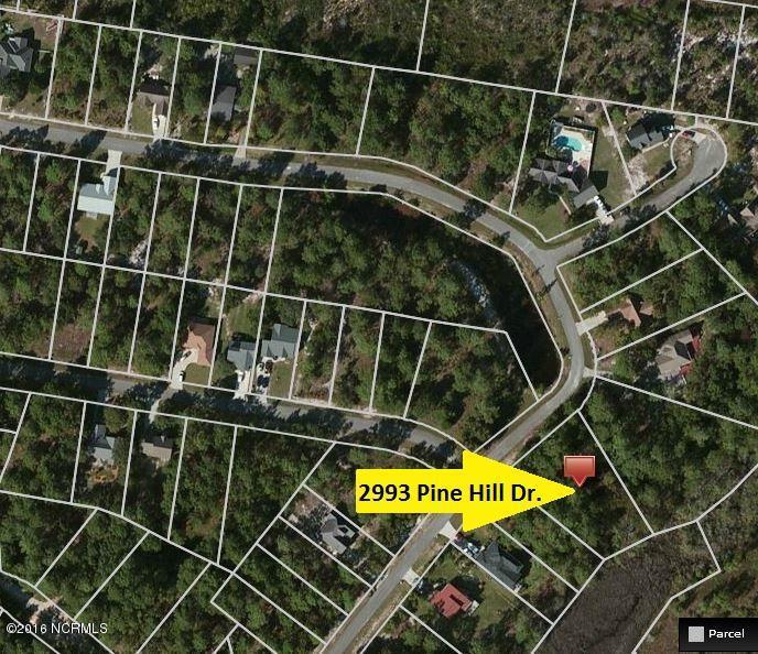 2993 Pine Hill Drive - Photo 1