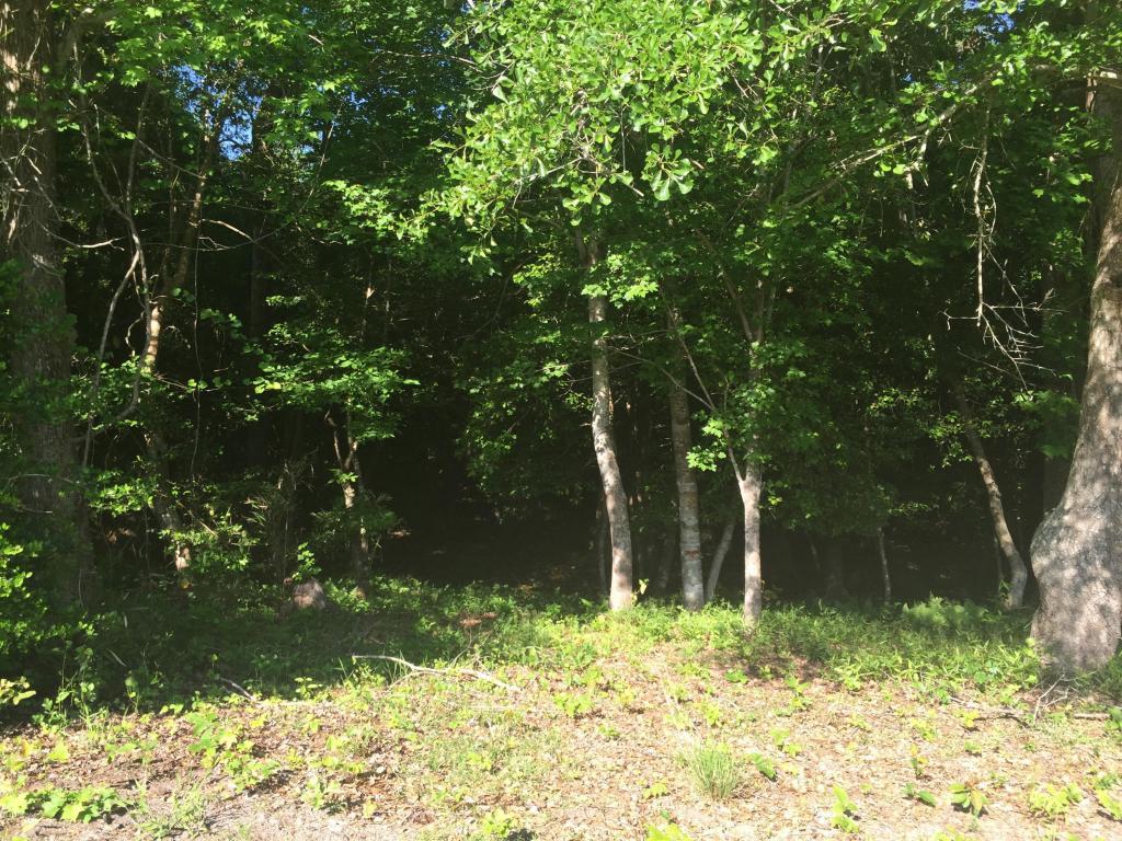 Lot 6 Hardison - Photo 1