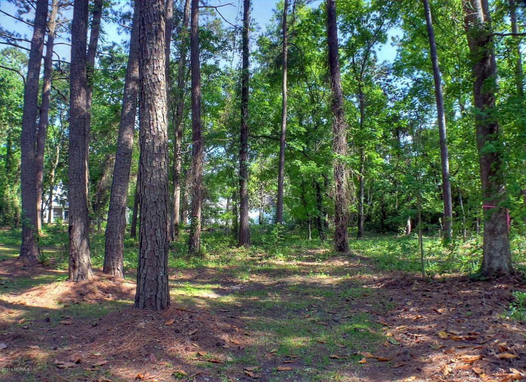 234 Mary Gray Farm Road, Beaufort, NC 28516 (MLS #100012955) :: Century 21 Sweyer & Associates