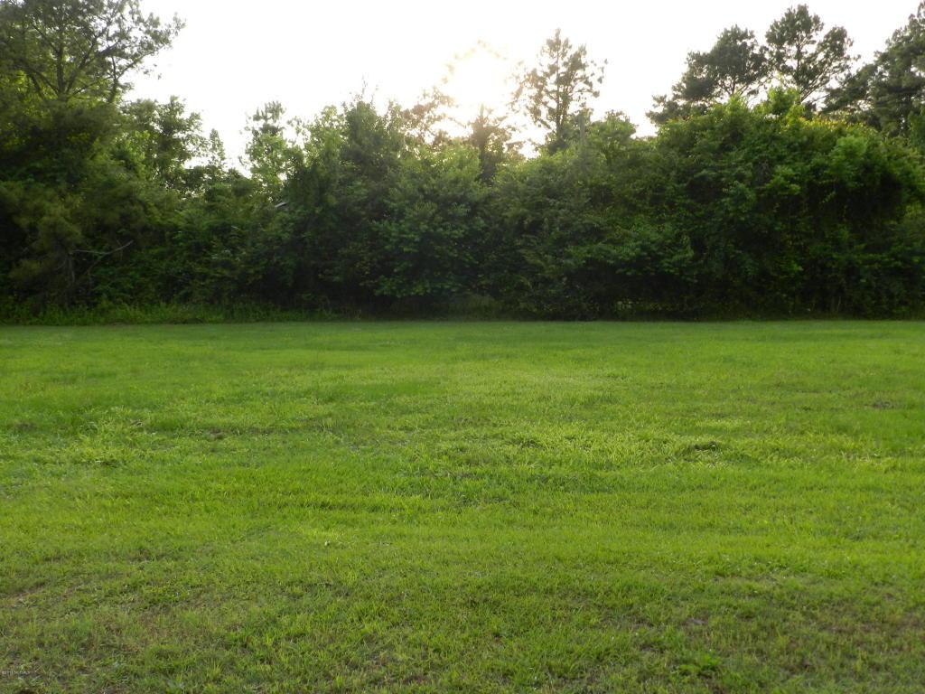 000 Briarneck Road, Jacksonville, NC 28540 (MLS #100014798) :: Century 21 Sweyer & Associates
