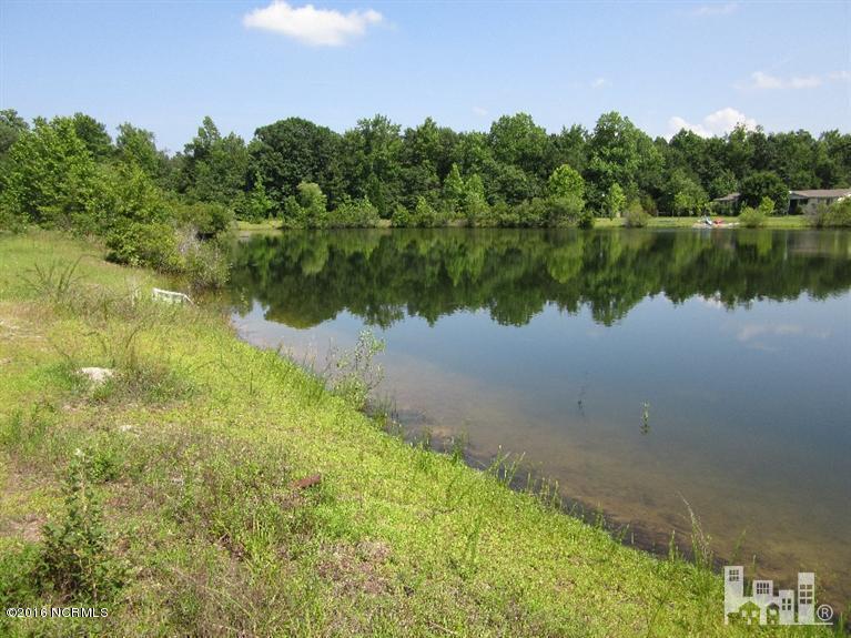 0 Bell Williams Rd Off Road - Photo 1